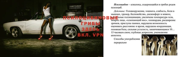 метамфетамин Аркадак