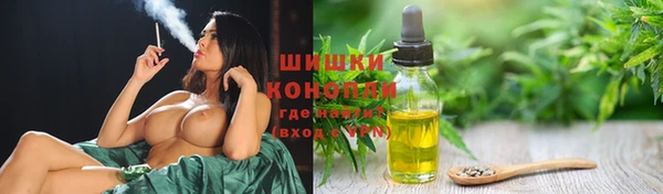 spice Арсеньев