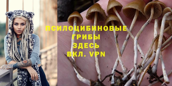 метамфетамин Аркадак