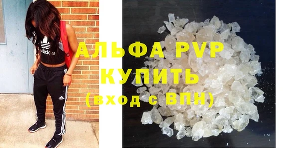spice Арсеньев