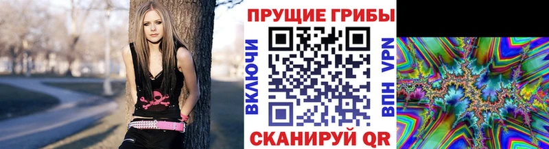 Псилоцибиновые грибы Psilocybine cubensis  Очёр 